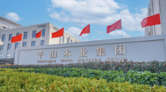 总部位于中国板材之都——山东临