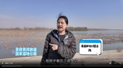 了一场天然取生命的壮美